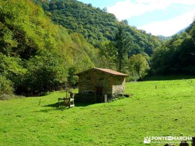 Hayedos Parque Natural de Redes;rutas de senderismo en la pedriza excursiones fin de semana desde ma